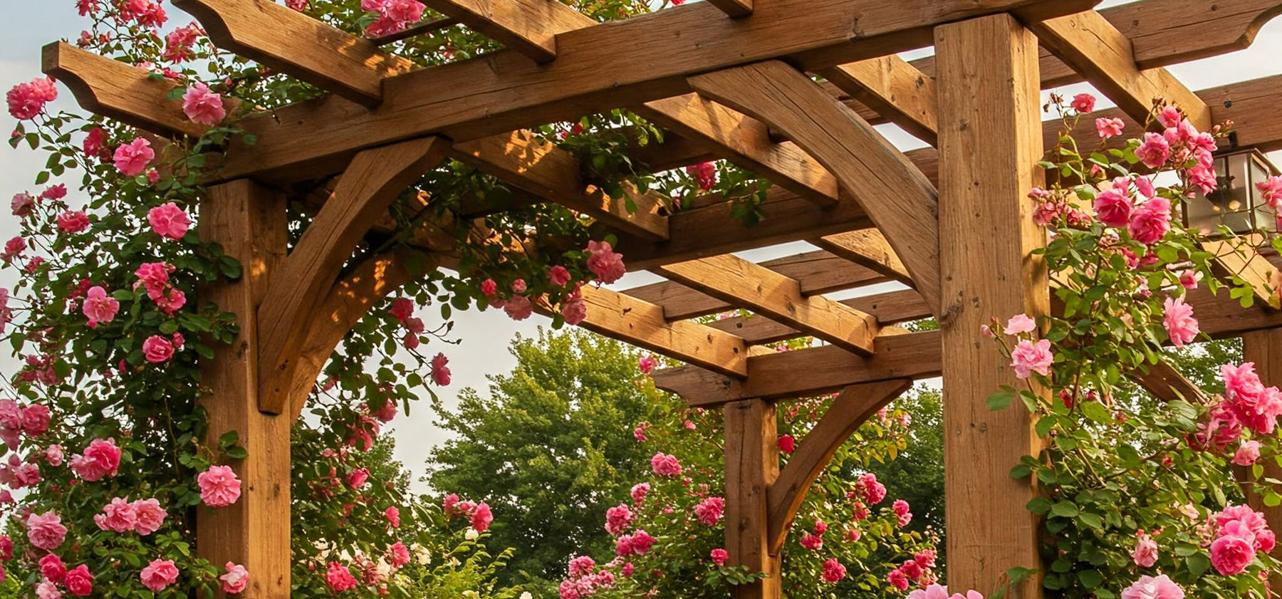 A wooden pergola with pink climbing roses