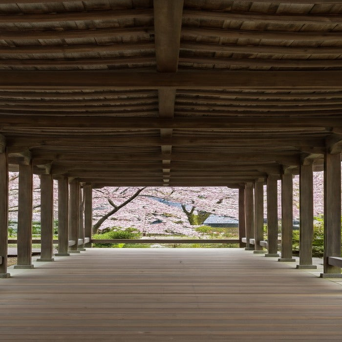 Japanese Bamboo Traditional Pergola