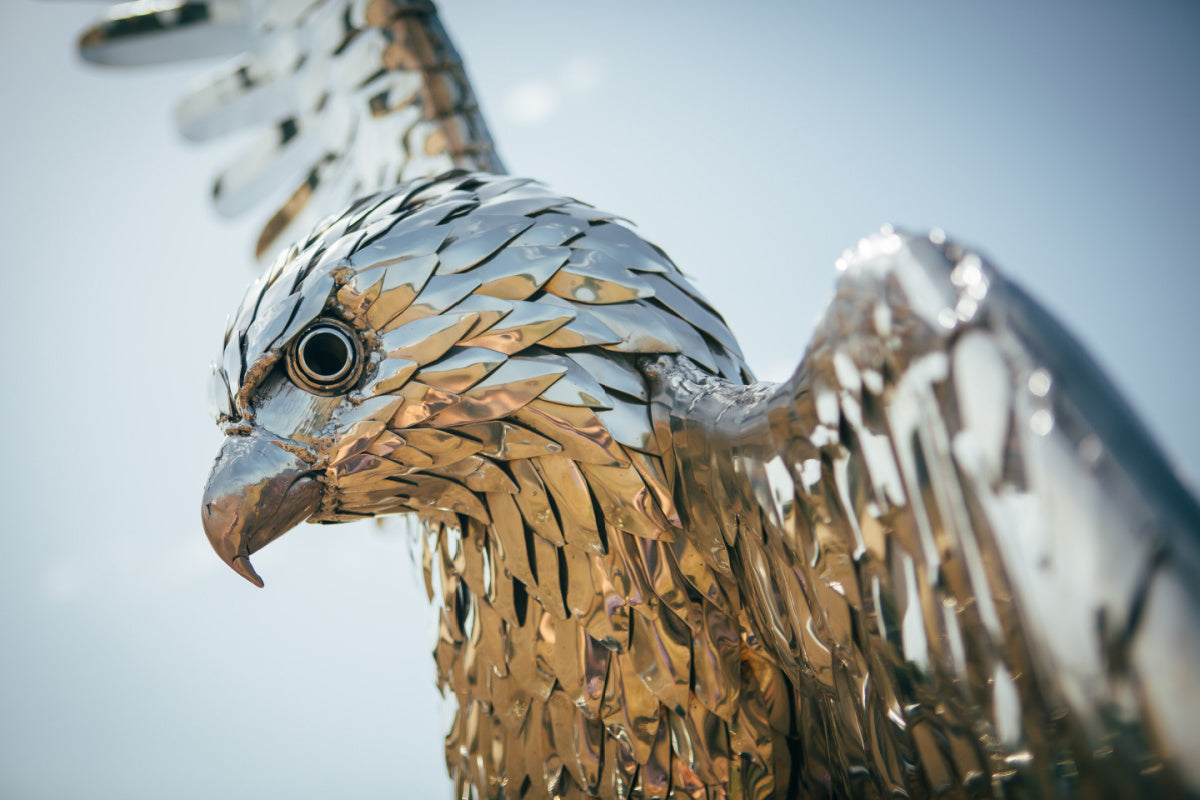 Stainless Steel Falcon Sculpture Close Up